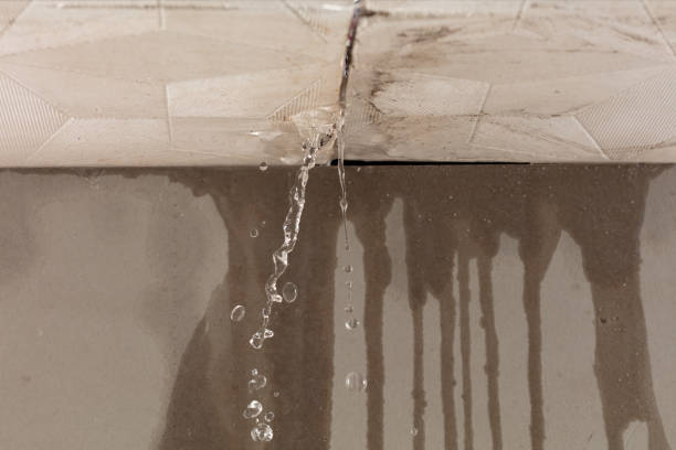 Professional Burst Pipe Cleanup technician working in Lawson, MO